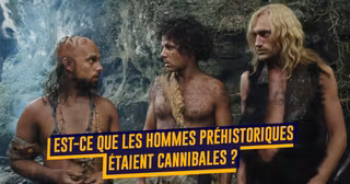 PREHISTOIRE