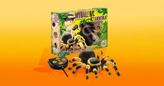 UNE_SHOPPING_araignée