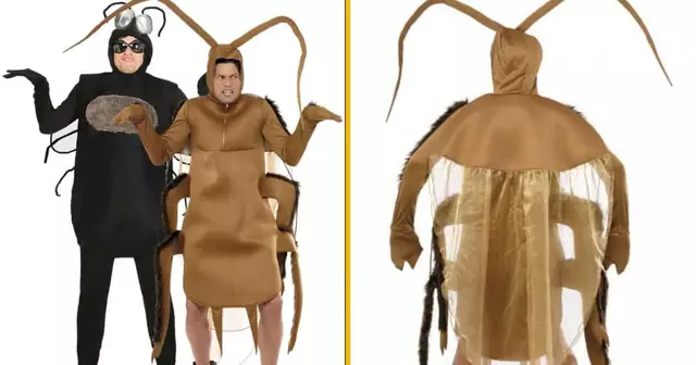 deguisement-duo-cafard-mouche