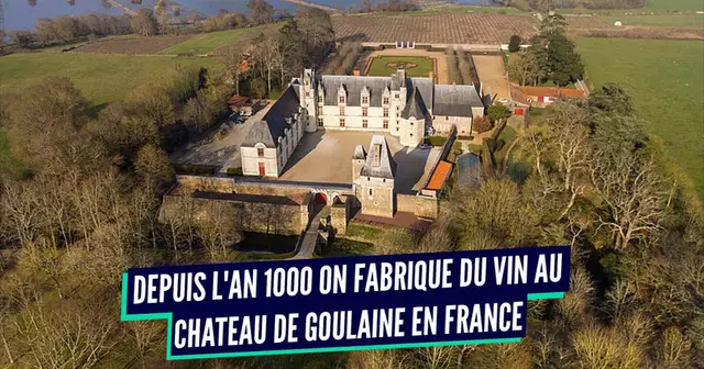 VIGNOBLE