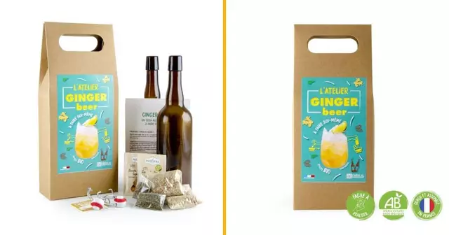 kit-fabrication-ginger-beer-bio