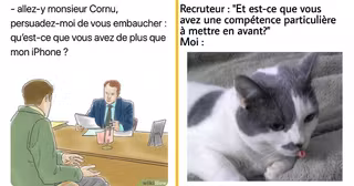 top entretien embauche