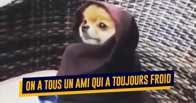 Top memes froid 1