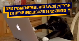 une_cerveau_internet