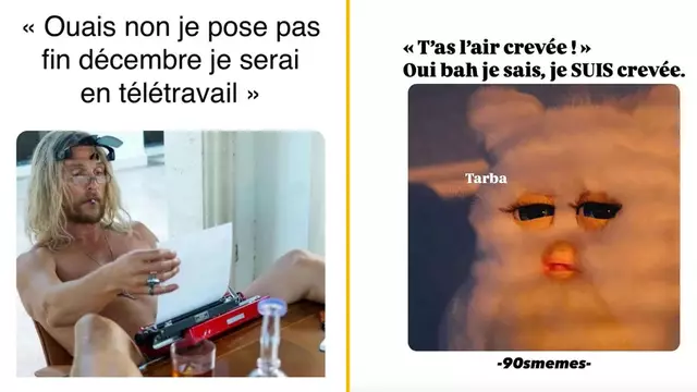 memesemaine