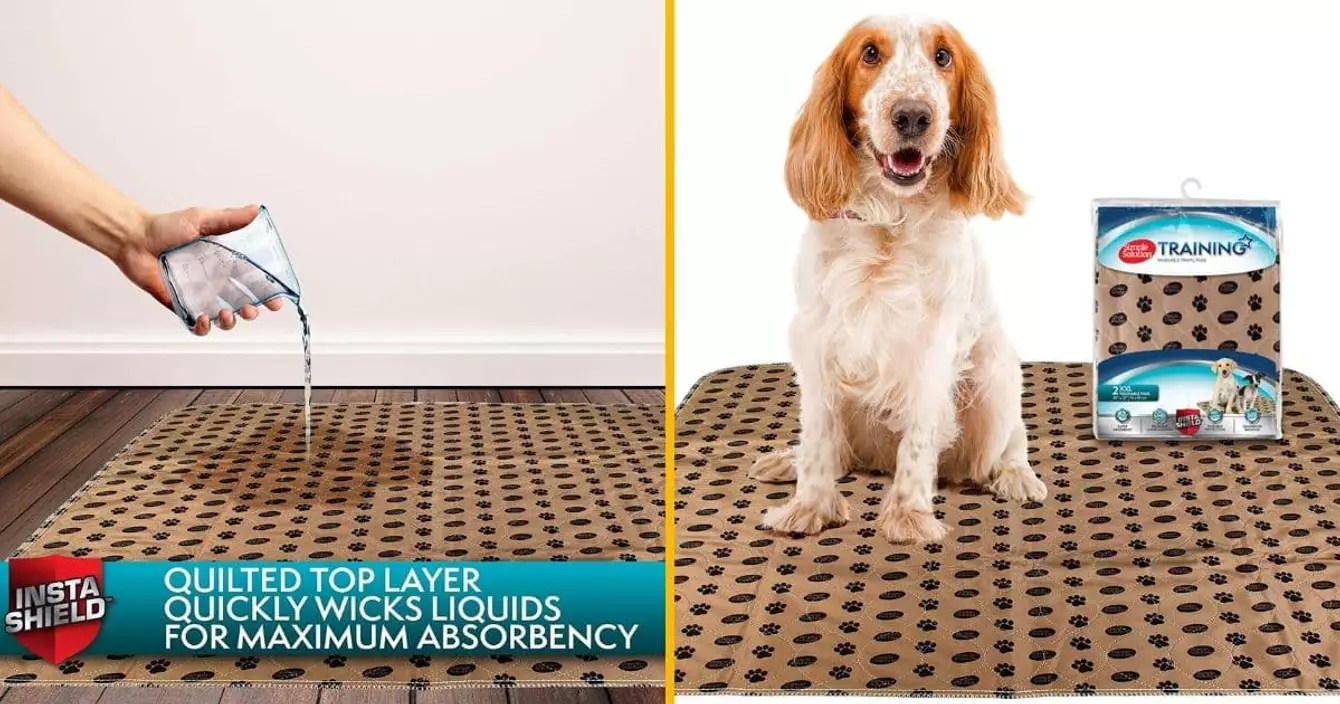 tapis-educateurs-lavables-chien