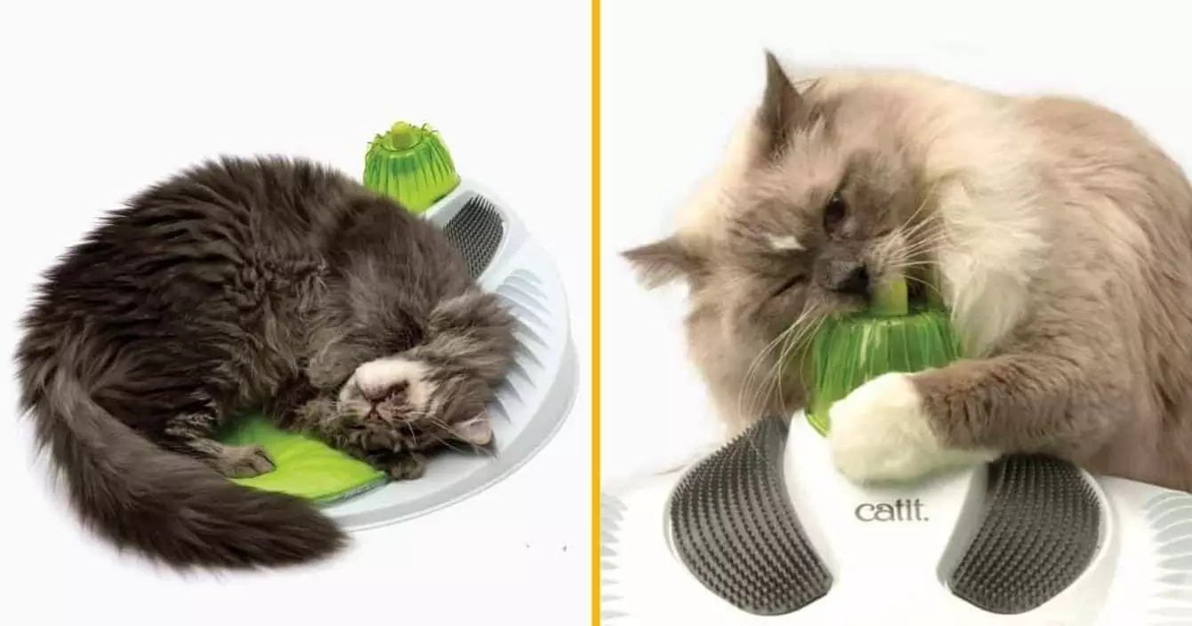 station-massage-chat