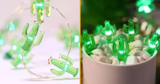 guirlande-lumineuse-cactus