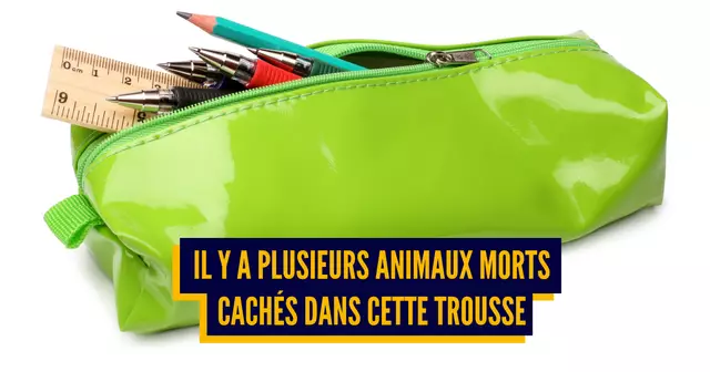 TROUSSE