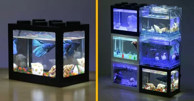 aquarium-emboitable-lumineux