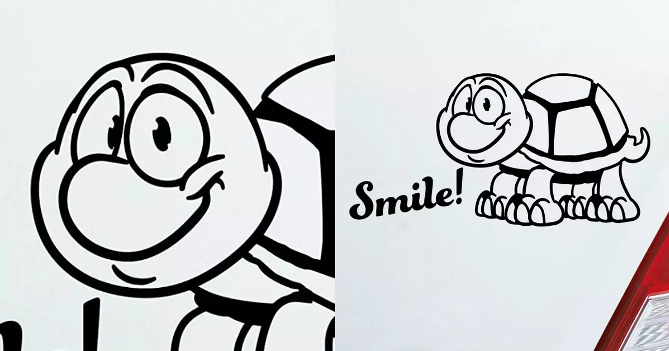 sticker-tortue-voiture