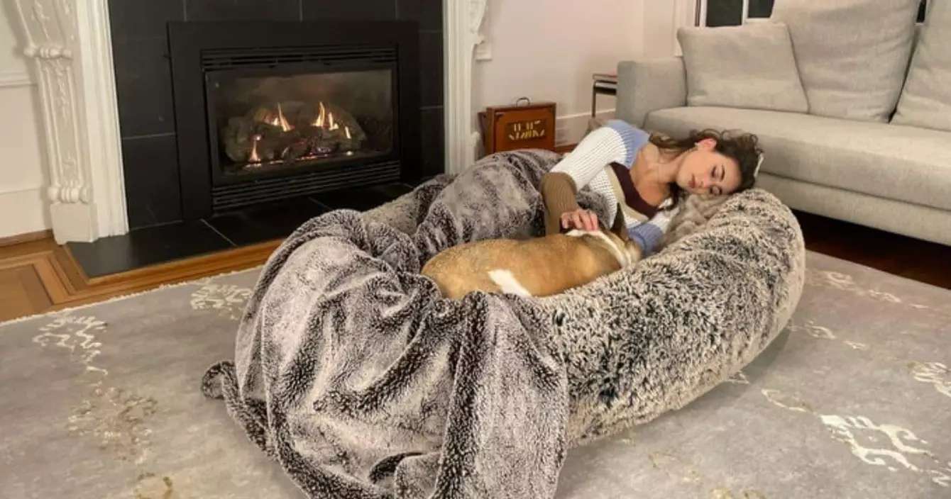 lit-chien-geant-humain