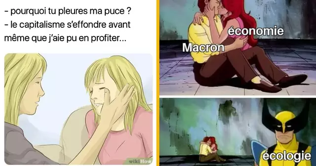 top memes capitalisme