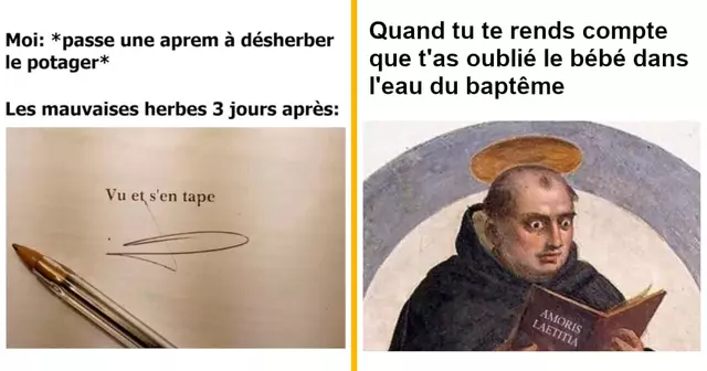 top memes semaine 15