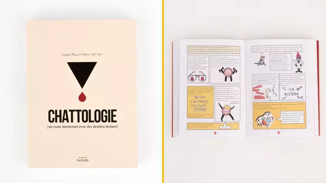 essai-menstruel-dessins-chattologie