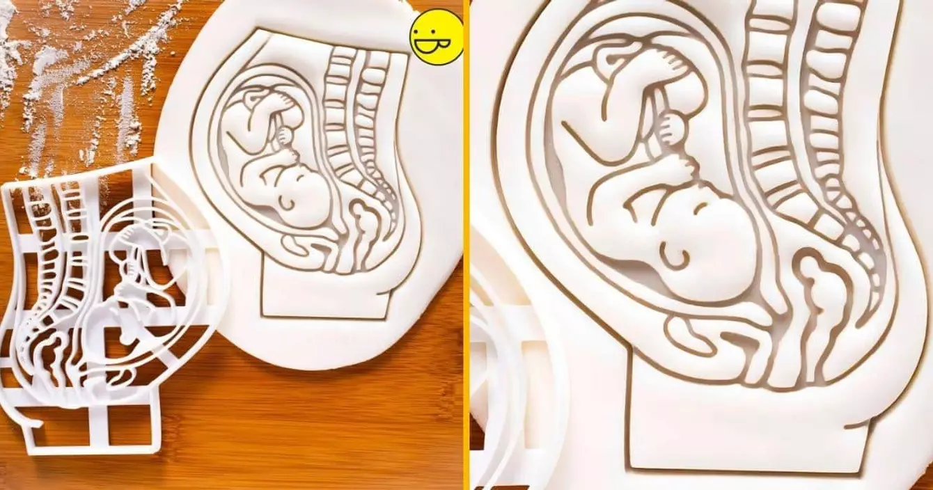 emporte-piece-anatomie-femme-enceinte