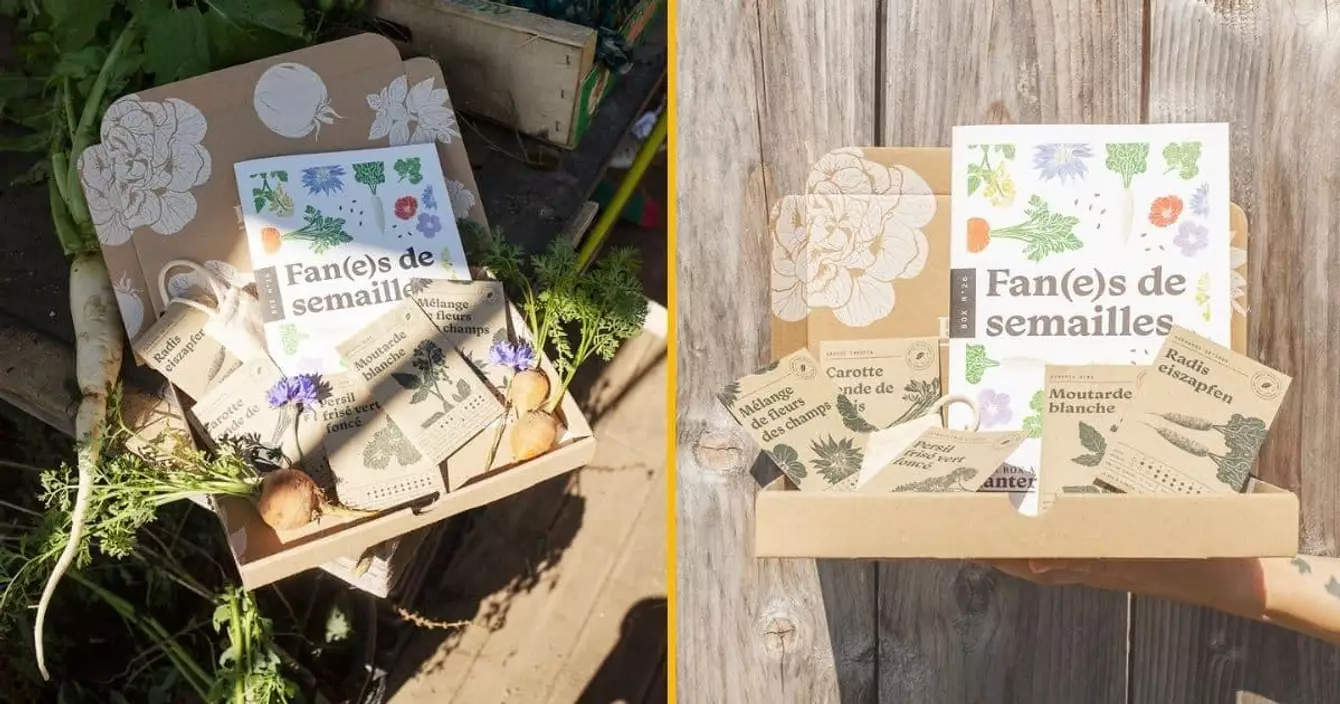 une-box-pour-faire-pousser-ses-petites-plantes-et-aussi-des-trucs-qui-se-mange-la-box-a-planter