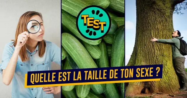 UNE_TEST_taille-sexe