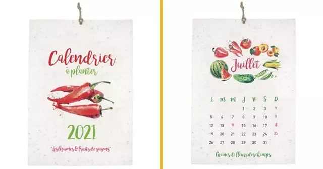 calendrier-plante-graine