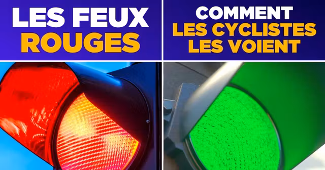 top monde vu par cyclistes