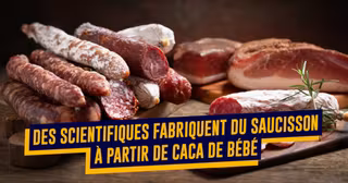 saucisson