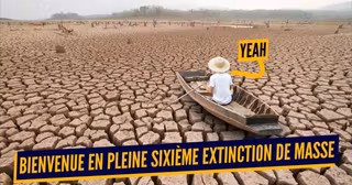 extinctions de masse (1)