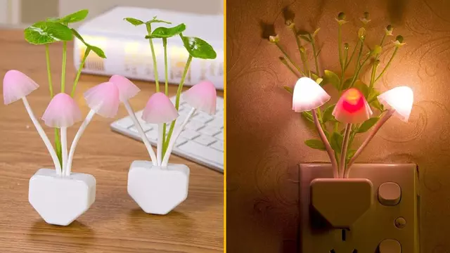 veilleuse-champignon