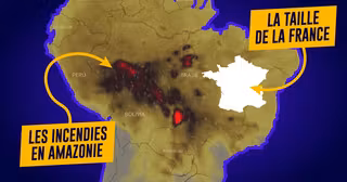 UNE_AMAZONIEPlan de travail 1 copie