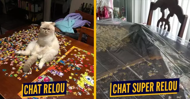 CHAT PUZZLE