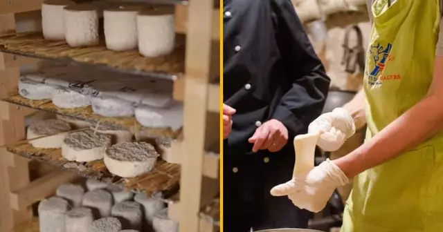 atelier-fabriquer-fromage