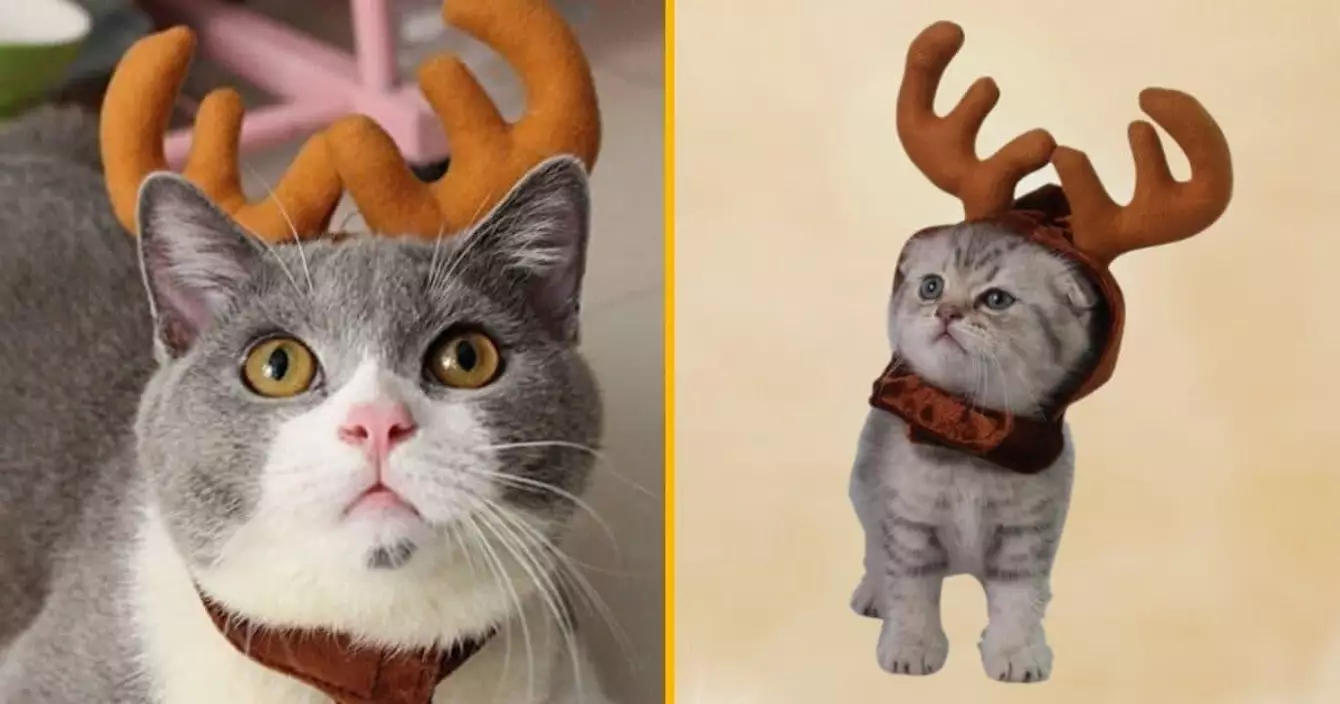 bonnet-chat-renne-costume