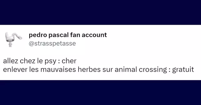 ChosesApprisAnimalCrossing