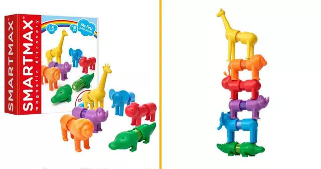 animaux-magnetiques-assembler