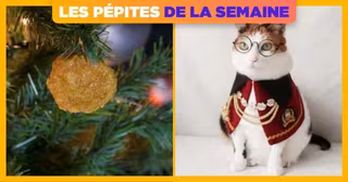 UNE-SHOPPING-PEPITE-SEMAINE-57