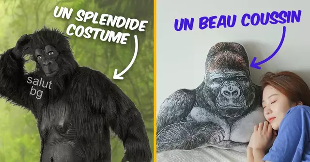 UNE_SHOPPING_fleches3-singe-top