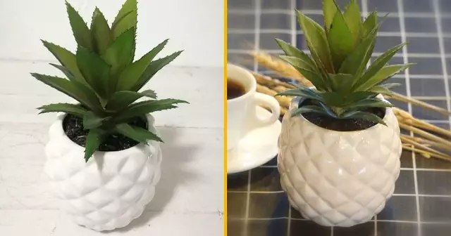 cache-pot-ananas