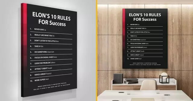 tableau-regles-succes-elon-musk
