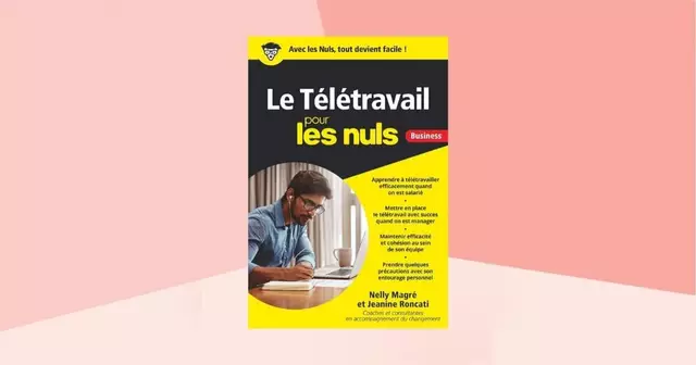teletravail-nuls-livre