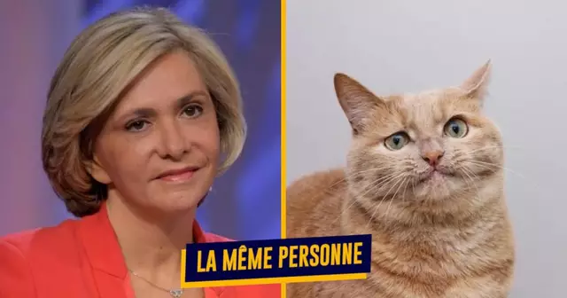 PhotosCandidatsChats