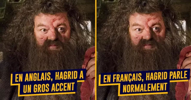 top differences harry potter français anglais