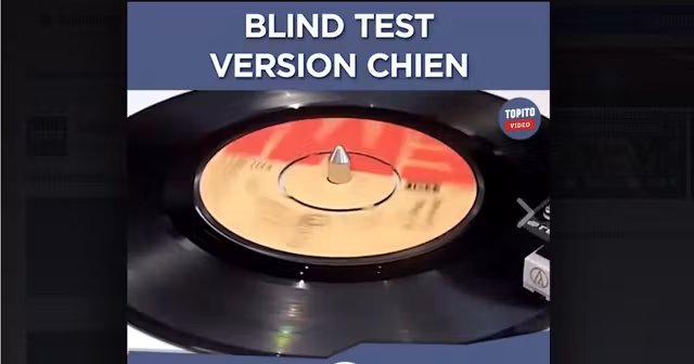 blind-test-chien