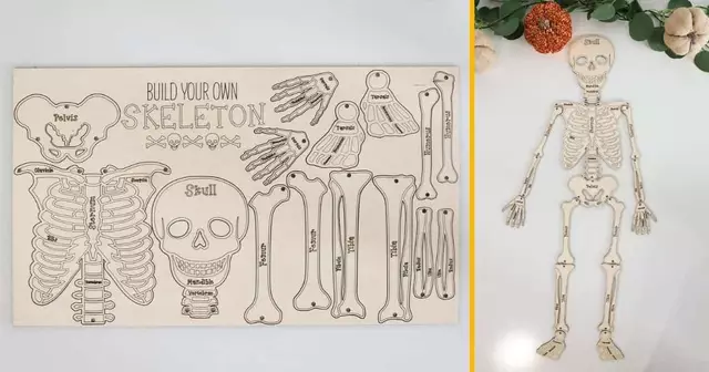 fichier-imprimer-fabriquer-squelette