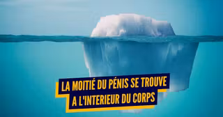 TOP CORPS HUMAIN BOUCHE BEE