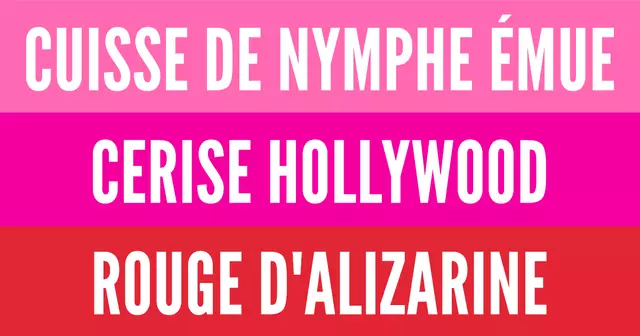 55d68581-7cc2-41ce-83ce-21346217faeb