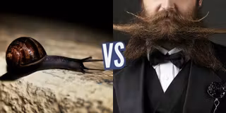 battle-347911-1420480882