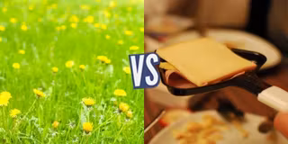 battle-370621-1429103899