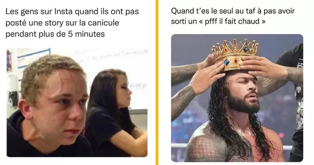 top memes canicule