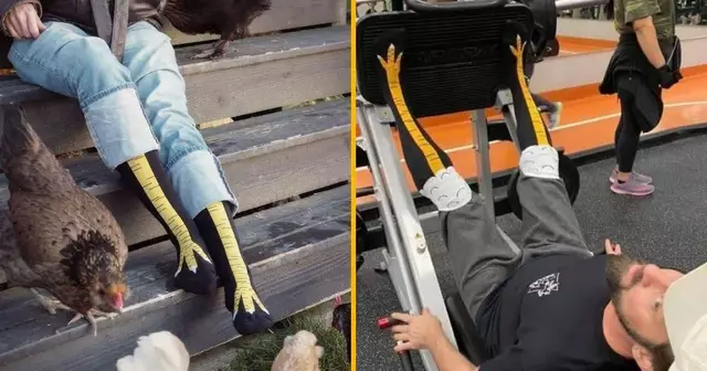 chaussettes-jambe-poulet