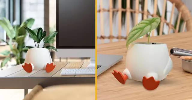 pot-plante-patte-canard