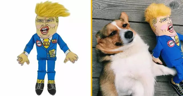 trump-chien